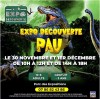 Expo Découverte des Dinosaures à Pau