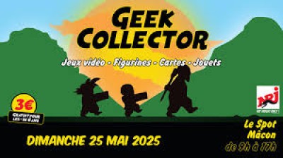 Geek Collector à Mâcon