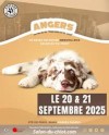 Univers du Chiot à Angers