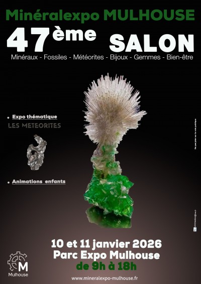 Salon MinéralExpo à Mulhouse