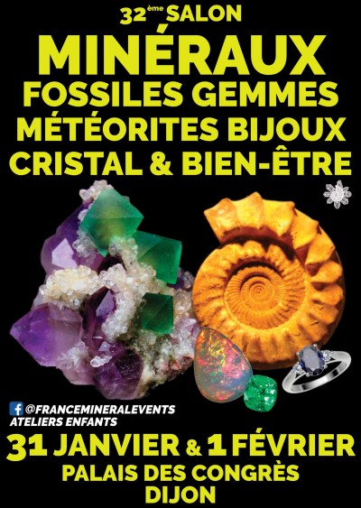 Salon des Minéraux & Fossiles à Dijon