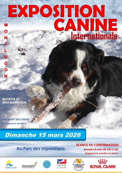 Exposition Canine Internationale à Montluçon