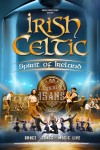 Irish Celtic - Spirit of Ireland à Troyes