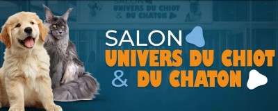 Salon Univers du Chiot & du Chaton à Avignon