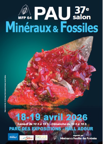 Salon Minéraux & Fossiles à Pau