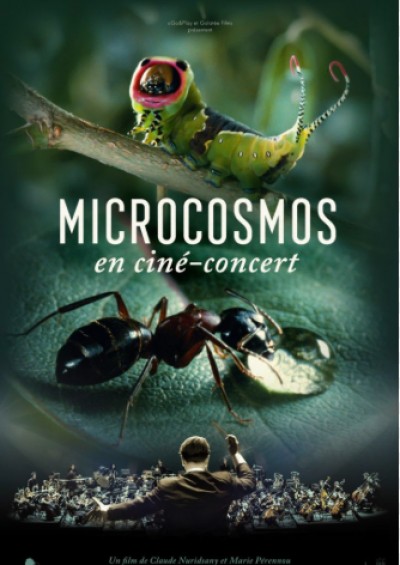Ciné-concert Microcosmos - Le Peuple de l’Herbe à Besançon
